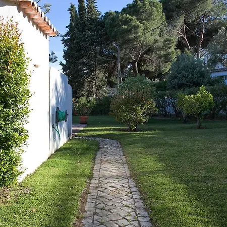 Σπίτι διακοπών Flh Balaia Garden House Αλμπουφέιρα
